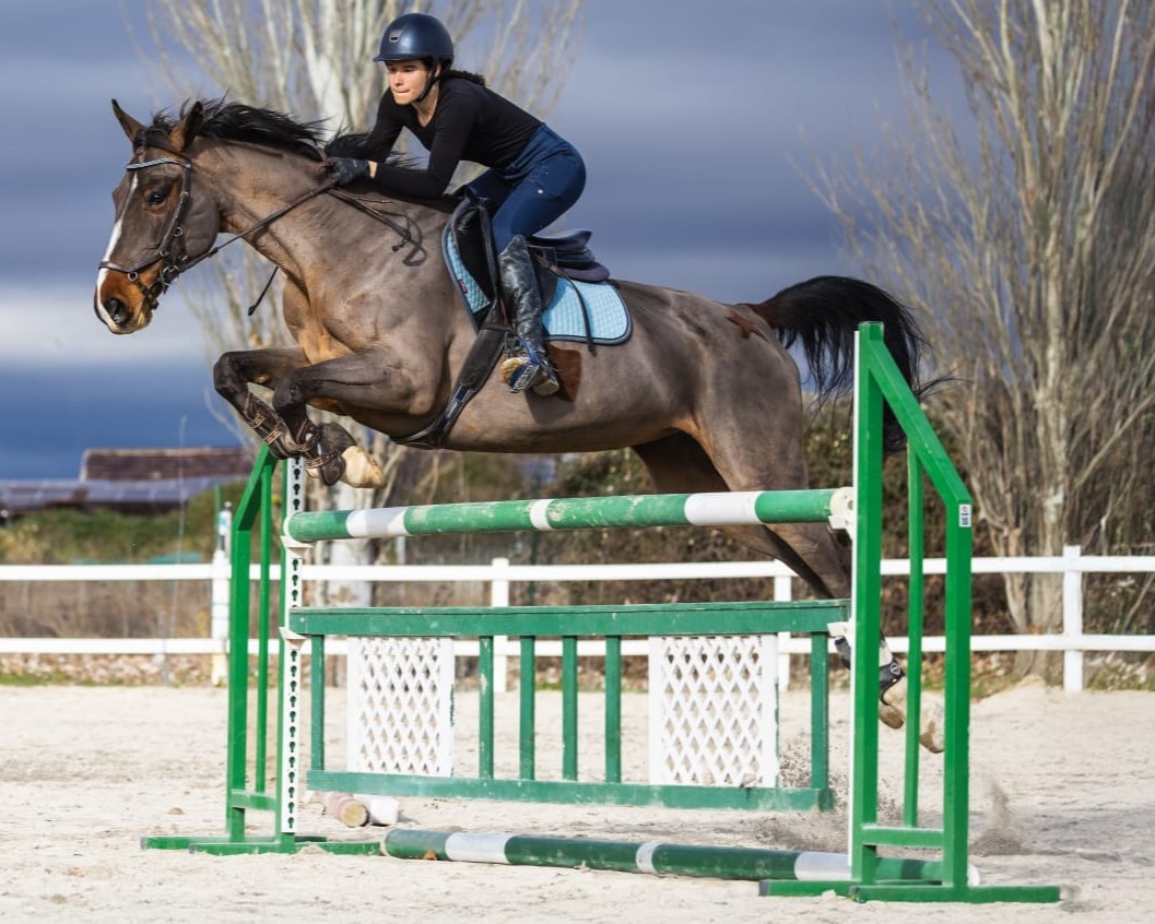 horse